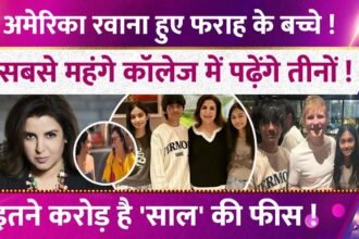 Picsart 25 12 20 11 47 34 938