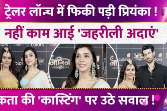 Picsart 25 12 24 20 27 41 489