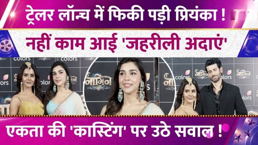 Picsart 25 12 24 20 27 41 489