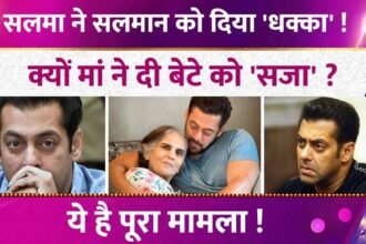 Picsart 25 12 28 22 35 38 506