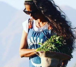 Screenshot 2026 0106 000648